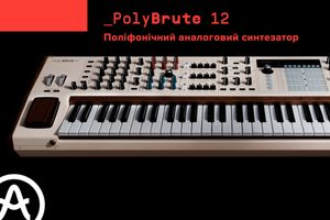 Представляємо: PolyBrute 12 фото