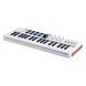 MIDI-клавіатура Arturia MiniLab 37 (White) + Arturia Analog Lab V 26-06-01-01 фото 3